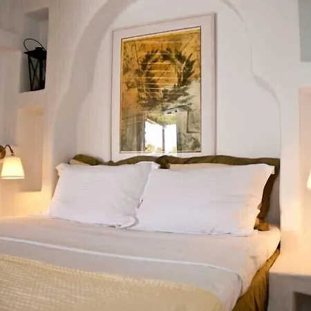 Sea View Exclusive - Tinos Гостевой дом 4*