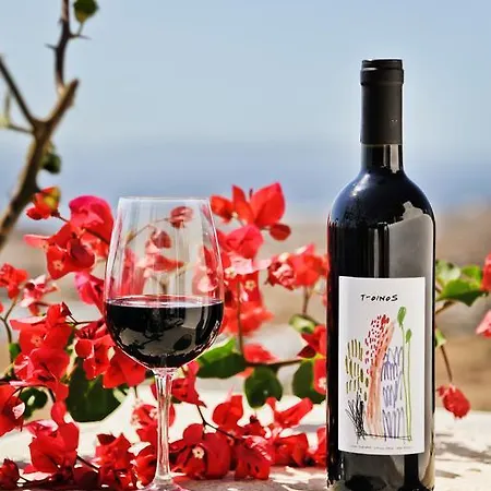 بيت ضيافة Sea View Exclusive - Tinos
